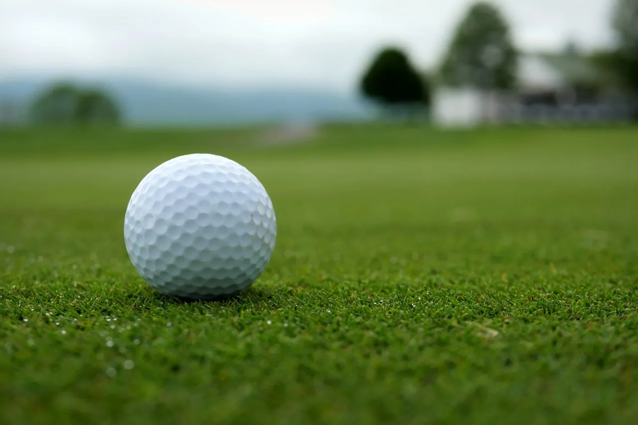 Plain white golf ball resting on a closely mown green, trees blurred behind